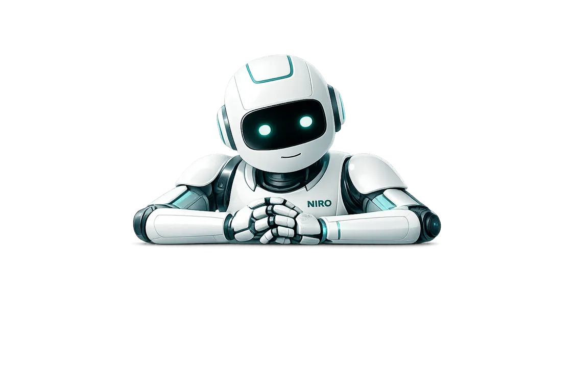 The NIRO assistant